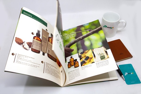 Top 5+ mẫu catalogue không thể bỏ qua | In Thành Danh